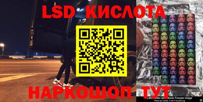 прущие крисы Моздок