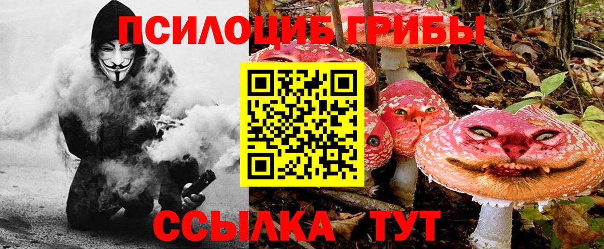 купить   Вход с VPN  Сосновоборск  Галлюциногенные грибы Magic Shrooms 
