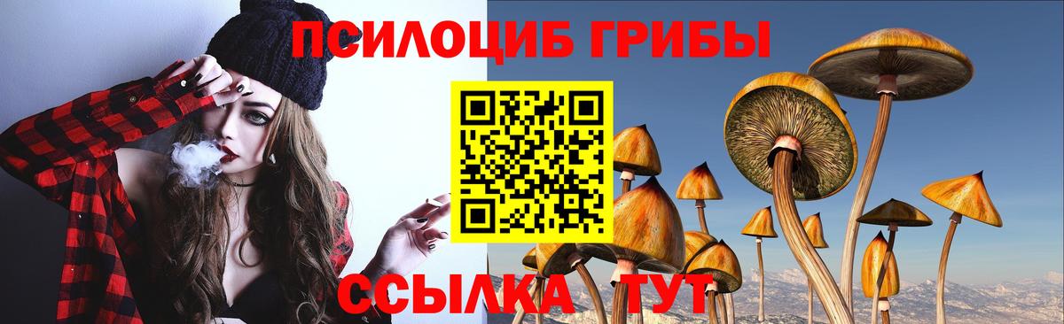 Галлюциногенные грибы ЛСД Сосновоборск